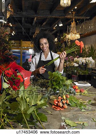 Young female florist trimming flower stems in shop, smiling View Large Photo Image Stock Photograph - Young female florist trimming flower stems in shop, smiling. Fotosearch
