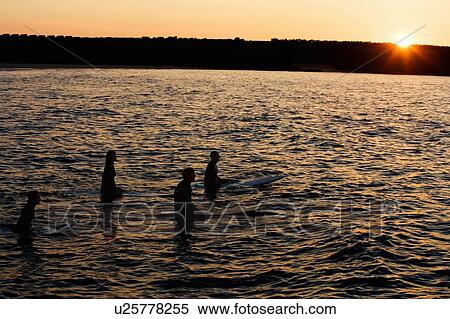 Stock Photography - Four people sitting on surfboards in the water.. Fotosearch