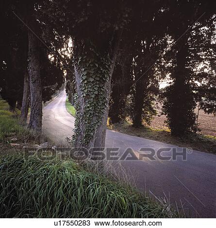 A desolate street in Tuscany. View Large Photo Image Stock Image - A desolate street in Tuscany.. Fotosearch