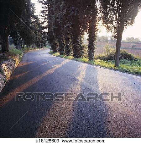 A desolate street in Tuscany. View Large Photo Image Stock Photo - A desolate street in Tuscany.. Fotosearch