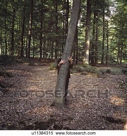 A man standing behind a tree with arms around it in the forest. View Large Photo Image Stock Photography - A man standing behind a tree with arms around it in the forest.. Fotosearch