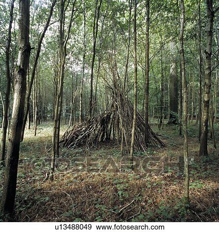 A teepee in a forest in Brussels made of sticks. View Large Photo Image Stock Photo - A teepee in a forest in Brussels made of sticks.. Fotosearch