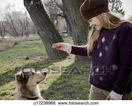 Girl (10-12) outdoors holding piece of cake above dog, smiling View Large Photo Image Stock Photo - Girl (10-12) outdoors holding piece of cake above dog, smiling. Fotosearch