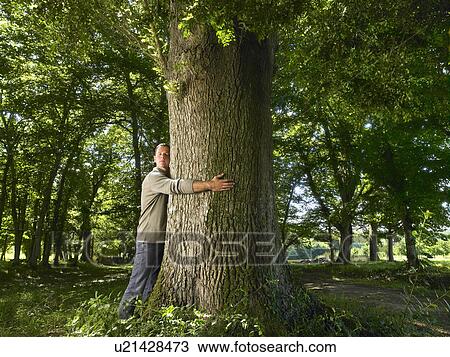 Man embracing a tree trunk. View Large Photo Image Stock Image - Man embracing a tree trunk.. Fotosearch