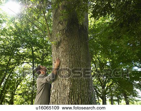 Man embracing a tree trunk. View Large Photo Image Stock Photo - Man embracing a tree trunk.. Fotosearch