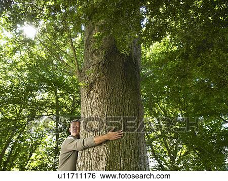 Man embracing a tree trunk. View Large Photo Image Stock Photograph - Man embracing a tree trunk.. Fotosearch