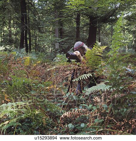Man using a field glass in the forest. View Large Photo Image Picture - Man using a field glass in the forest.. Fotosearch
