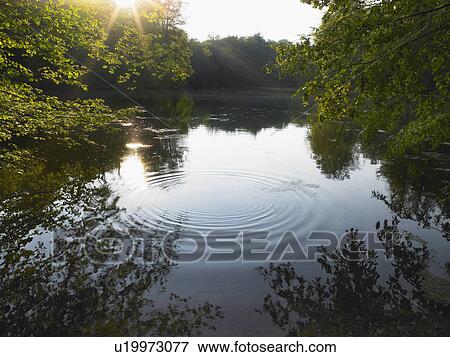 Stock Photo - Riddle on a lake.. Fotosearch