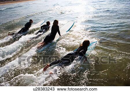Stock Image - Four people lying on surfboards in the water.. Fotosearch