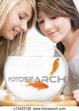 Stock Photo - Girls looking at goldfishes in aquarium. Fotosearch