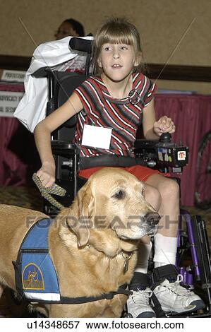 Cute little girl with disabilities operating her electric wheelchair while holding the leash of her service dog. View Large Photo Image Stock Photo - Cute little girl with disabilities operating her electric wheelchair while holding the leash of her service dog.. Fotosearch