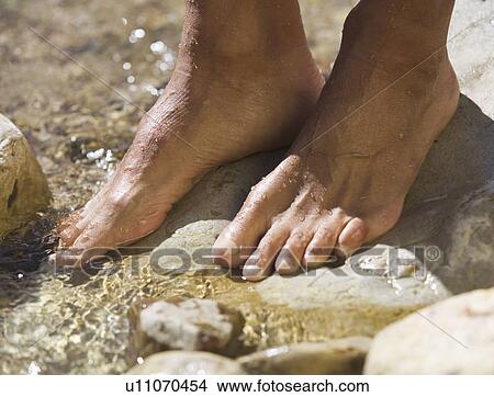 Close-up of feet in a stream View Large Photo Image Picture - Close-up of feet in a stream. Fotosearch