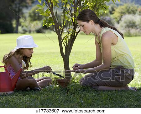 A mother with her young daughter gardening View Large Photo Image Stock Photo - A mother with her young daughter gardening. Fotosearch