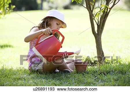 A young girl watering seeds in a plant pot View Large Photo Image Stock Image - A young girl watering seeds in a plant pot. Fotosearch