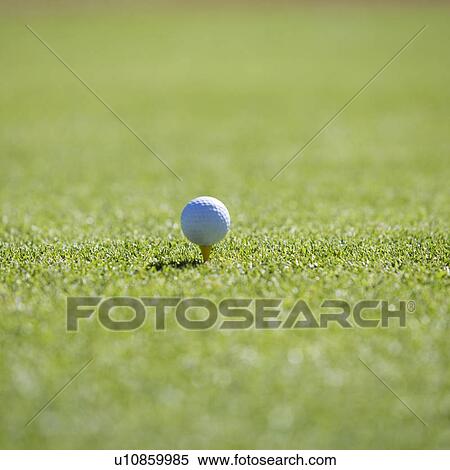 Golf ball on a tee View Large Photo Image Stock Photography - Golf ball on a tee. Fotosearch