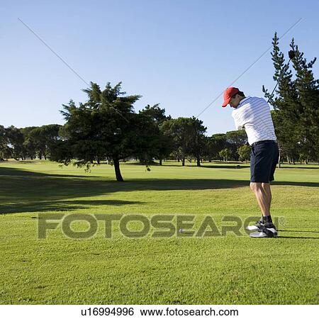 Man playing golf View Large Photo Image Stock Photograph - Man playing golf. Fotosearch