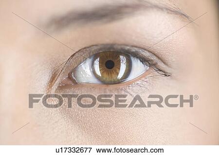 Stock Photo - An eye, close-up. Fotosearch
