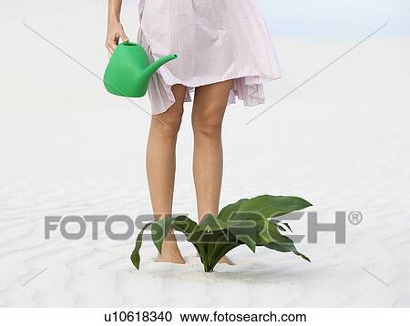 Stock Image - A woman watering a plant in the sand. Fotosearch