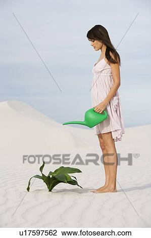 A woman watering a plant in the sand View Large Photo Image Stock Image - A woman watering a plant in the sand. Fotosearch