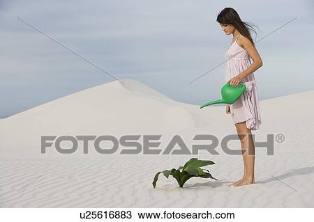 A woman watering a plant in the sand View Large Photo Image Stock Image - A woman watering a plant in the sand. Fotosearch