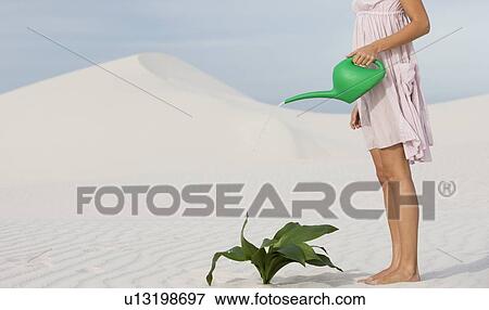 A woman watering a plant in the sand View Large Photo Image Stock Photo - A woman watering a plant in the sand. Fotosearch