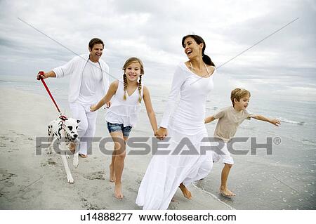 A family walking the dog on a beach View Large Photo Image Stock Photo - A family walking the dog on a beach. Fotosearch