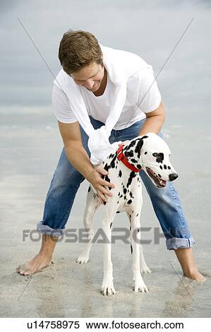 A man with his dog on a beach View Large Photo Image Stock Photography - A man with his dog on a beach. Fotosearch
