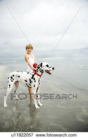 A young boy with a dog on a beach View Large Photo Image Stock Photo - A young boy with a dog on a beach. Fotosearch