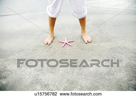 A young boy with a starfish View Large Photo Image Stock Image - A young boy with a starfish. Fotosearch