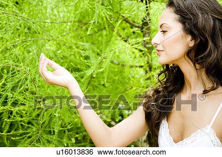 Beauty portrait of a woman in a tropical setting touching the foliage. View Large Photo Image Stock Photograph - Beauty portrait of a woman in a tropical setting touching the foliage.. Fotosearch