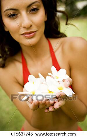 Beauty portrait of a woman in a tropical setting holding frangipani View Large Photo Image Stock Photography - Beauty portrait of a woman in a tropical setting holding frangipani. Fotosearch