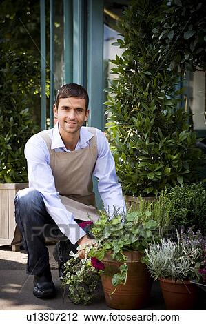 Stock Image - Male florist arranging the plant display outside his shop. Fotosearch