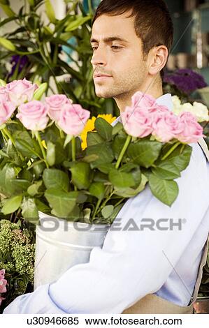 Male florist in his shop, holding a pot of pink roses View Large Photo Image Stock Photography - Male florist in his shop, holding a pot of pink roses. Fotosearch