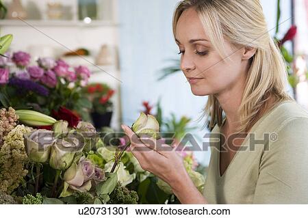 Woman choosing flowers in a florist's shop View Large Photo Image Stock Image - Woman choosing flowers in a florist's shop. Fotosearch