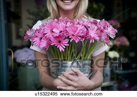 Woman florist or gardener holding a large pot of pink asters View Large Photo Image Stock Photography - Woman florist or gardener holding a large pot of pink asters. Fotosearch