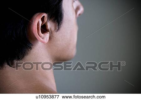 Close up portrait of a young man's ear View Large Photo Image Stock Photo - Close up portrait of a young man's ear. Fotosearch