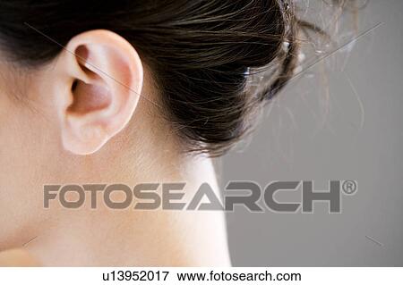 Stock Photo - Ear and neck of a woman with dark hair up in a bun. Fotosearch