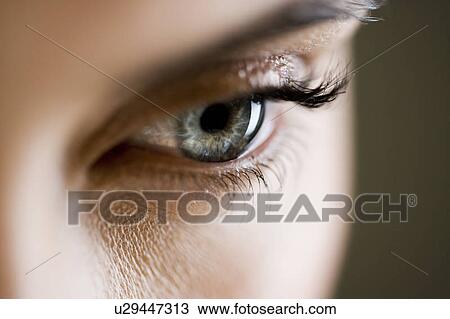 Detail of woman's face showing left eye View Large Photo Image Stock Image - Detail of woman's face showing left eye. Fotosearch