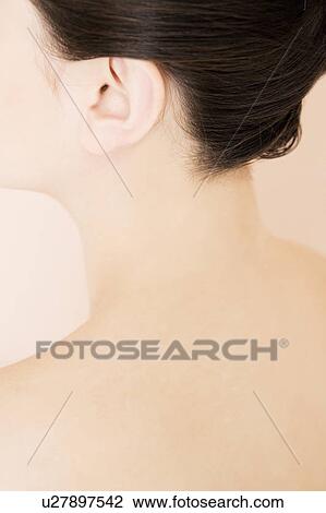 Nape Of A Young Woman S Neck Stock Image U Fotosearch