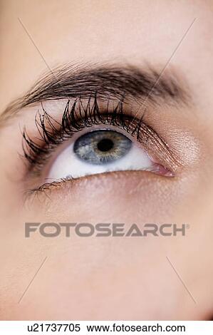 Woman's right eye and eyebrow, looking upwards View Large Photo Image Stock Photography - Woman's right eye and eyebrow, looking upwards. Fotosearch