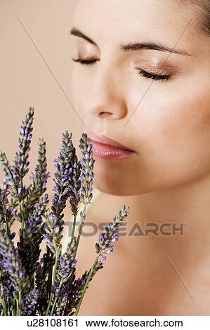 Woman holding a bunch of dried lavender View Large Photo Image Stock Image - Woman holding a bunch of dried lavender. Fotosearch