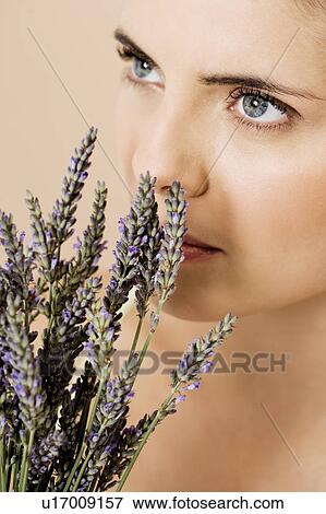 Woman holding a bunch of dried lavender View Large Photo Image Stock Photo - Woman holding a bunch of dried lavender. Fotosearch