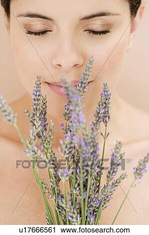 Young woman smelling lavender flowers View Large Photo Image Stock Image - Young woman smelling lavender flowers. Fotosearch