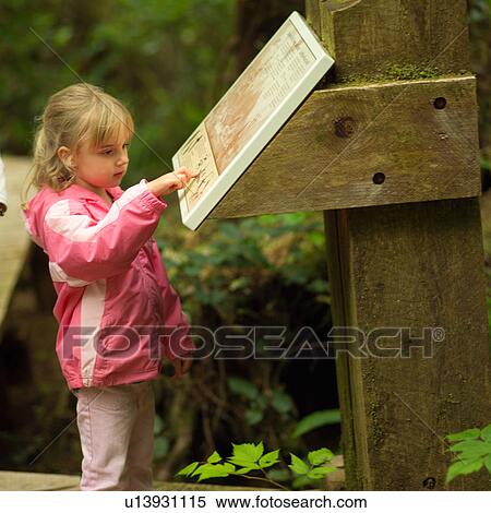 Child reading information sign on Rain Forest Trail View Large Photo Image Stock Photography - Child reading information sign on Rain Forest Trail. Fotosearch