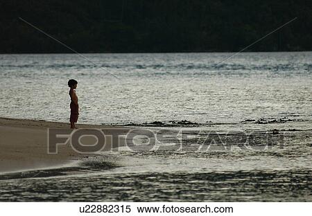 A young boy (6-8) standing on a beach at dusk View Large Photo Image Stock Photography - A young boy (6-8) standing on a beach at dusk. Fotosearch