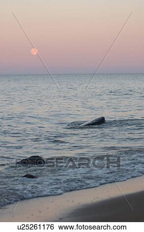 Lake Scenes View Large Photo Image Stock Photograph - Lake Scenes. Fotosearch