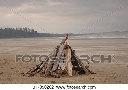 Stock Image - Logs stacked on beach. Fotosearch