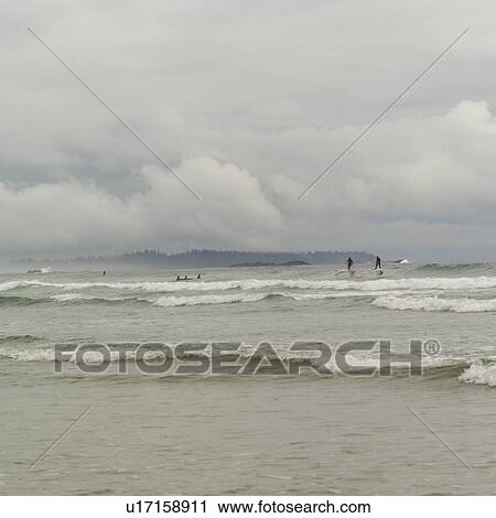 Long Beach, Pacific Rim Park, Vancouver Island, Canada View Large Photo Image Stock Image - Long Beach, Pacific Rim Park, Vancouver Island, Canada. Fotosearch