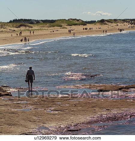 People on a beach in Prince Edward Island, Canada View Large Photo Image Stock Photo - People on a beach in Prince Edward Island, Canada. Fotosearch