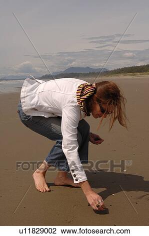 Young girl picking up shells on beach View Large Photo Image Stock Image - Young girl picking up shells on beach. Fotosearch